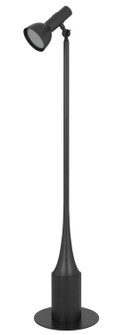 Allanson LED Floor Lamp in Charcoal Grey (225|BO-3235FL-GR)