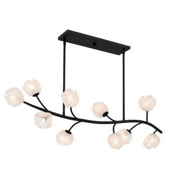 Walker Ten Light Island Pendant in Matte Black (10|WALK1048MBK)