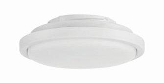 Phoebe light kit LED Fan Light Kit in White (46|PHB52LK-W-LED)