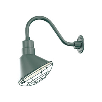 R Series One Light Pendant in Satin Green (59|RAS10-SG)