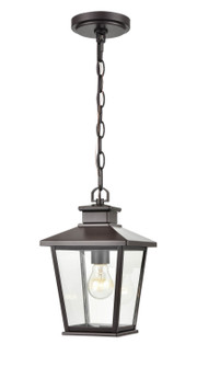 Bellmon One Light Outdoor Hanging Lantern in Powder Coated Bronze (59|4731-PBZ)