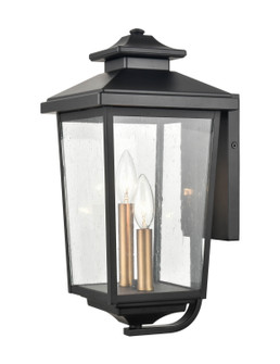 Eldrick Two Light Outdoor Hanging Lantern in Powder Coated Black (59|4642-PBK)