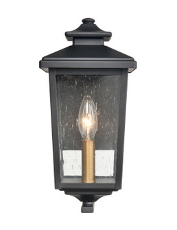 Eldrick One Light Outdoor Hanging Lantern in Powder Coat Black (59|4641-PBK)
