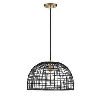 One Light Pendant in Black with Natural Brass Accents (446|M70105BRNB)