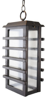 Urban Lighting Outdoor Pendant (337|U481)