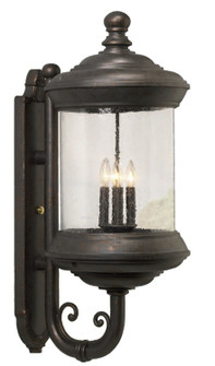 Tuscany Collection Outdoor Wall Mount (337|TC409093)