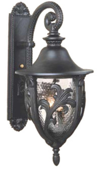 Tuscany Collection Outdoor Wall Mount (337|TC359056)