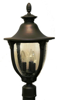 Tuscany Collection Outdoor Post Lantern (337|TC3490)