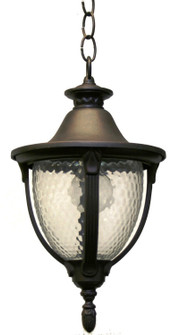 Tuscany Collection Outdoor Pendant (337|TC3431)