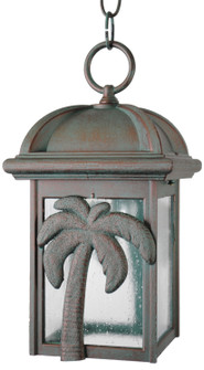 Palm Tree Series Outdoor Pendant (337|PT2931)