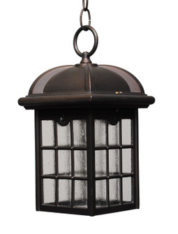 Kiss Lighting Outdoor Pendant (337|K931)