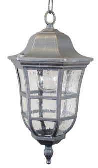 Kiss Lighting Outdoor Pendant (337|K831)