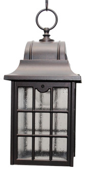 Kiss Lighting Outdoor Pendant (337|K631)