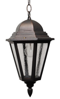 Kiss Lighting Outdoor Pendant (337|K2151)