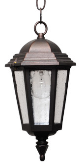 Kiss Lighting Outdoor Pendant (337|K2131)