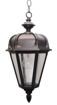 Kiss Lighting Outdoor Pendant (337|K1851)