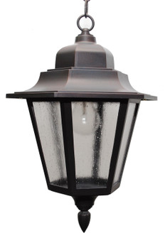 Kiss Lighting Outdoor Pendant (337|K1651)