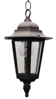 Kiss Lighting Outdoor Pendant (337|K1631)