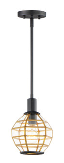 Heirloom One Light Mini Pendant in Black / Burnished Brass (16|11541BKBUB)