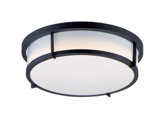 Rogue E26 Two Light Flush Mount in Black (16|10272WTBK)