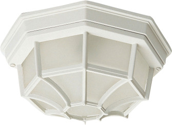 Crown Hill Two Light Outdoor Ceiling Mount in White (16|1020WT)