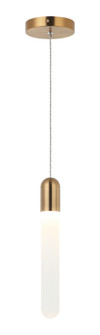 Aydin One Light Pendant in Aged Gold Brass (423|C65801AG)