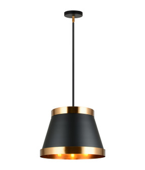 Caske Three Light Pendant in Black (423|C62903BKAG)
