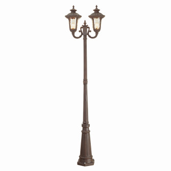 Oxford Two Light Outdoor Post Mount in Hand Applied Imperial Bronze (107|7660-58)