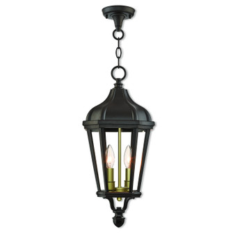 Morgan Two Light Outdoor Pendant in Bronze w/ Antique Gold Cluster (107|76189-07)