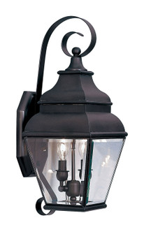 Exeter Two Light Outdoor Wall Lantern in Bronze (107|2591-07)