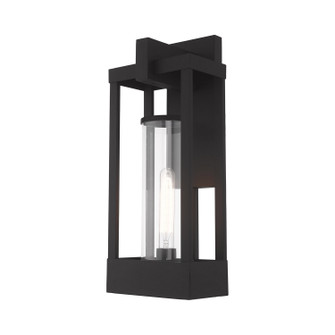 Delancey One Light Outdoor Wall Lantern in Black (107|20993-04)