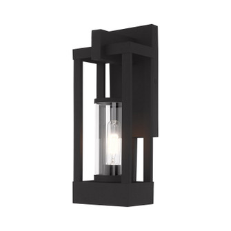 Delancey One Light Outdoor Wall Lantern in Black (107|20992-04)