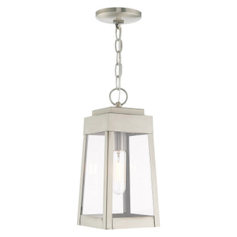 Oslo One Light Outdoor Pendant in Brushed Nickel (107|20854-91)