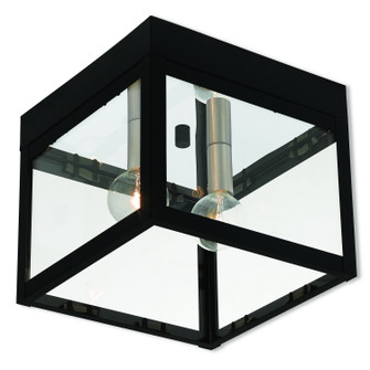 Nyack Two Light Outdoor Ceiling Mount in Black w/ Brushed Nickel Cluster (107|20588-04)