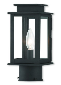 Princeton One Light Outdoor Post-Top Lanterm in Black w/ Polished Chrome Stainless Steel (107|20201-04)