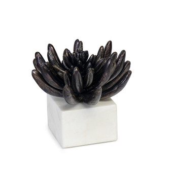 Succulent Sculpture in Blacken Zinc (400|20-1484BLKZ)
