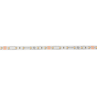 6Tl Dry Tape 24V LED Tape in White Material (Not Painted) (12|6T1100S27WH)