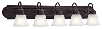 Five Light Bath in Tannery Bronze (12|5339TZS)