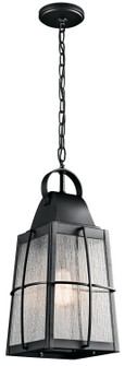 Tolerand One Light Outdoor Pendant in Textured Black (12|49556BKT)