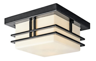 Tremillo Two Light Outdoor Ceiling Mount in Black (12|49206BK)