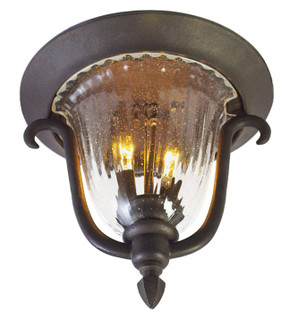 Santa Barbara Outdoor Two Light Outdoor Flush Mount in Textured Matte Black (33|9017MB)