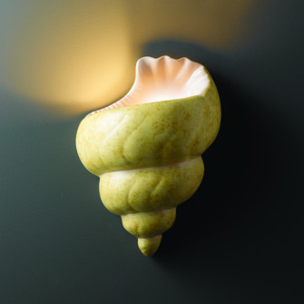 Ambiance Wall Sconce in Conch Shell (102|CER-3700-SEAK)