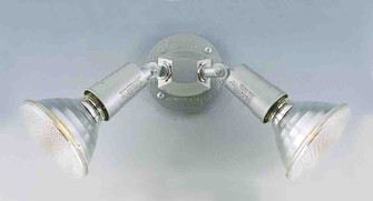 Outdoor Silver Grey Two Light Weather-resistant cast in Silver Grey (223|V9772-20)