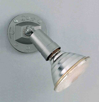 Outdoor Silver Grey Two Light Weather-resistant cast in Silver Grey (223|V9771-20)