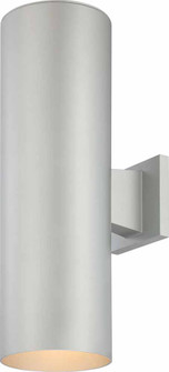 Outdoor Silver Grey Two Light Outdoor Decorative in Silver Grey (223|V9636-20)