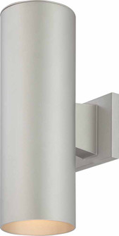 Outdoor Silver Grey Two Light Outdoor Decorative in Silver Grey (223|V9635-20)