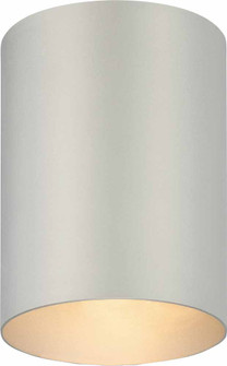 Outdoor Silver Grey One Light Outdoor Decorative in Silver Grey (223|V9615-20)