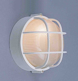 Nautical Outdoor White One Light Outdoor Fixture in White (223|V8890-6)