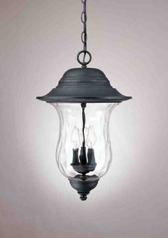 Aurora Three Light Outdoor Fixture in Antique Iron (223|V8712-36)