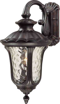 Tavira One Light Outdoor Fixture in Vintage Bronze (223|V8465-72)